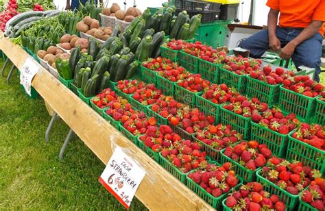 Organic Produce At Farmers Market Stock Photo Image Of Vegetable