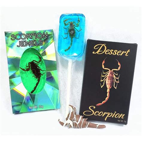 Edible Scorpion Candy Bundle Pack Of 3 1 Chocolate Covered 1 Candy