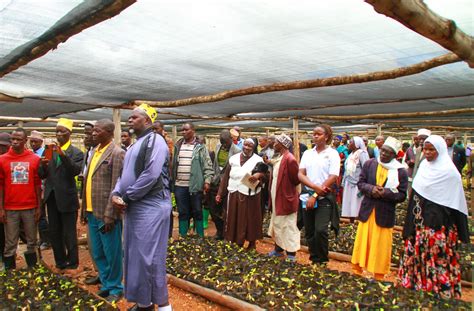 Wakulima Kagera Watakiwa Kupanda Miti Ya Matunda Kwa Wingi Karagwe FM