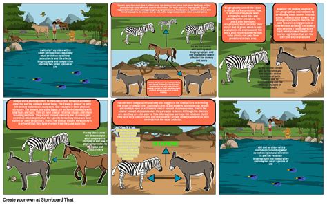 Biogeography Animals