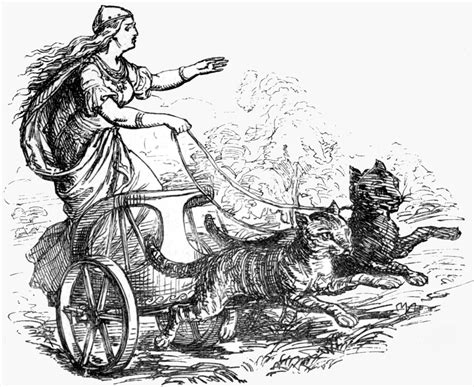 Norse Goddess Spotlight Who Is Freyja Owlcation