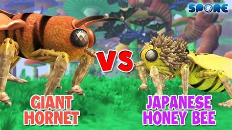 Giant Hornet Vs Japanese Honeybees Beast Face Off S5E3 SPORE