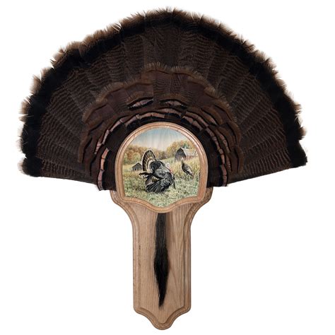 Buy Walnut Hollow Country Oak Deluxe Turkey Ing And Display Kit Display