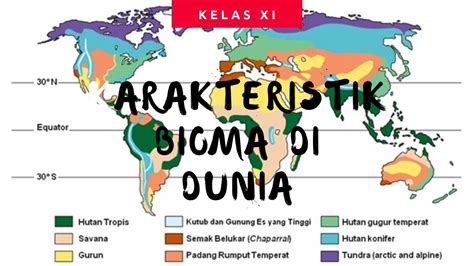 Geografi Kelas Mengenal Macam Macam Bioma Di Dunia Dan Ciri Cirinya