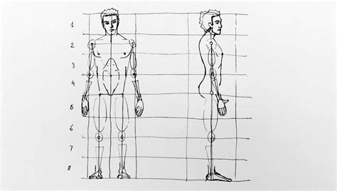 C Mo Aprender A Dibujar La Figura Humana Y Sus Proporciones