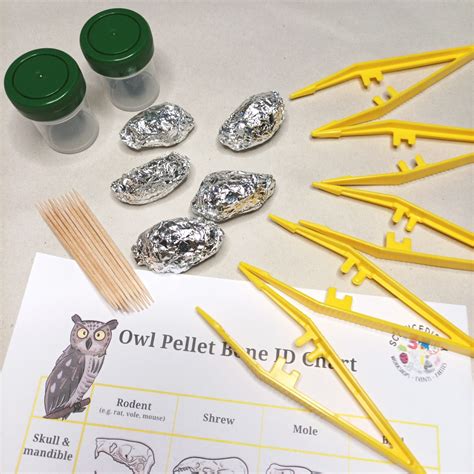 Shop Science Kits Owl Pellet Dissecting Kit X 5