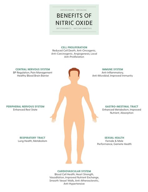 NITRIC OXIDE IN PROMOTING HEALTHY AUTONOMIC FUNCTION Autonomic