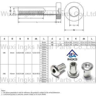 Ingks Stainless Steel Hex Socket Flat Head With Chamfered Edge Female