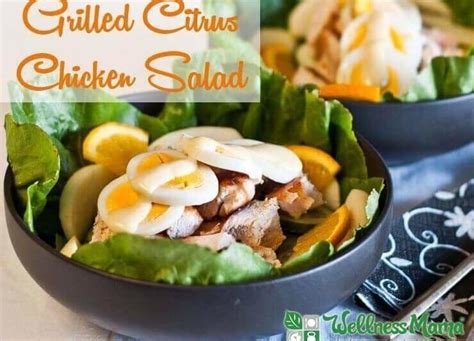 Grilled Citrus Chicken Salad Recipe Wellness Mama