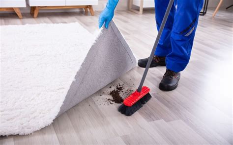 The Benefits Of Regular Carpet Cleaning For Allergy Sufferers