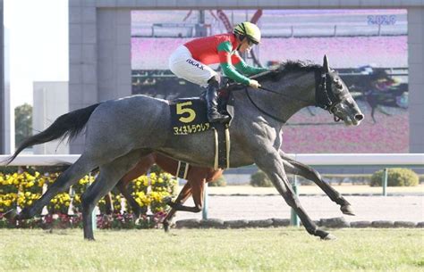 【市川の日曜競馬コラム・神戸新聞杯】 日刊ゲンダイ競馬