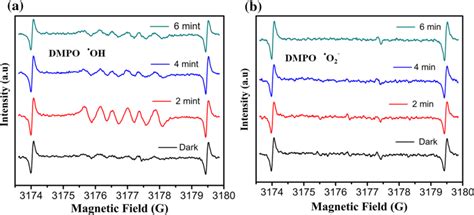 A Dmpo Spin Trapping Epr Spectra For Spectra Of Oh Radical And B Dmpo