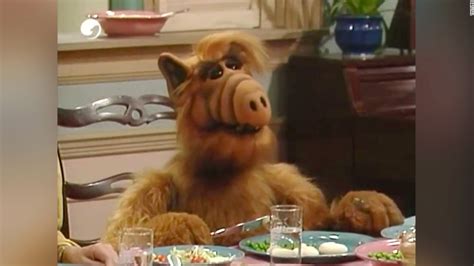 Michu Meszaros, actor who played 'ALF,' dies at 76 - CNN