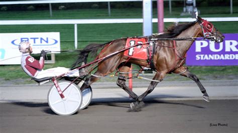 Bongiorno Bags Five Again At Big M Standardbred Canada