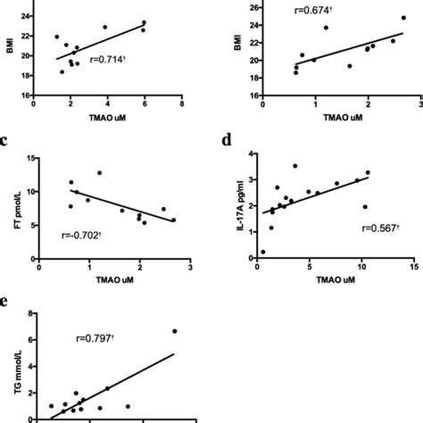 A Correlations Between Plasma Trimethylamine N Oxide TMAO And BMI In