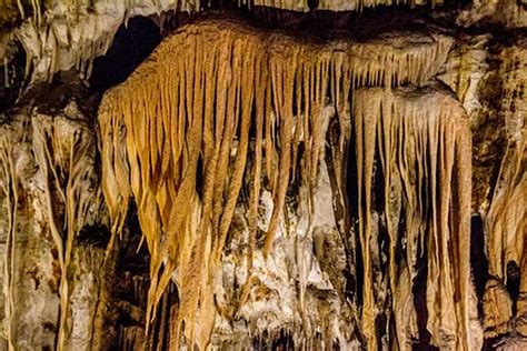 Visite De La Grotte Postojna En Slov Nie