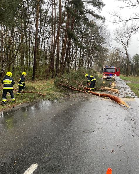 Polkowice Usuwanie Skutk W Kom Rki Burzowej W Powiecie Polkowickim