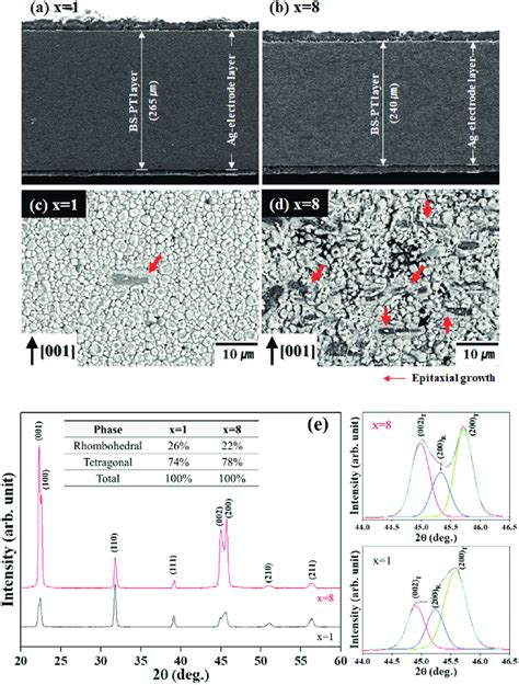 Cross Sectional FE SEM Images Of X Vol BT Templated 0 36BS 0 64PT