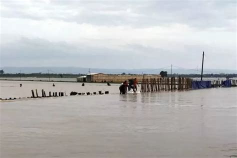 Ribuan Hektare Sawah Di Jawa Tengah Terancam Gagal Panen Akibat Banjir