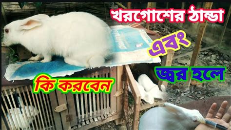 খরগোশের ঠান্ডা লাগলে কি করবো 🐇 খরগোশের রোগ ও চিকিৎসা 🐰 খরগোশ পালন 🐇