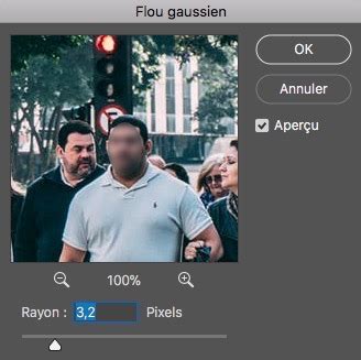 Comment Flouter Une Partie D Une Image Avec Photoshop Graphiste Blog