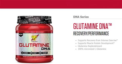 Bsn Glutamine Dna Series Reviews Support Growth And Recovery