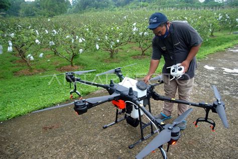 PENGGUNAAN TEKNOLOGI DRONE UNTUK PERTANIAN ANTARA Foto