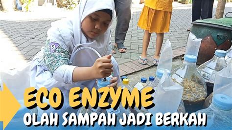 Eco Enzyme Solusi Kuat Untuk Kehidupan Berkelanjutan Mayfrina