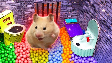 Diy Hamster Escapes The Awesome Maze For Pets In Real Life Youtube