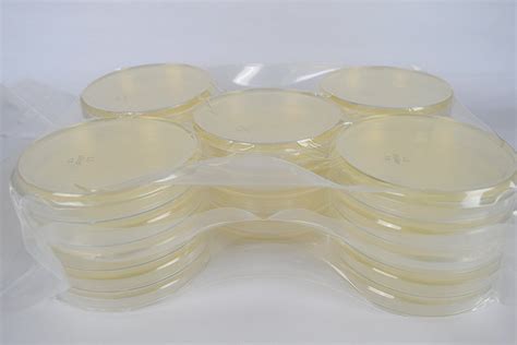 Millers Lb Agar 10 Pack Pre Poured Petri Plates Philippines Ubuy