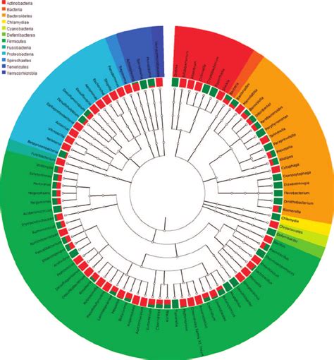 Distribution Of Bacterial Genera Identified In The Cecal Microbiomes Of