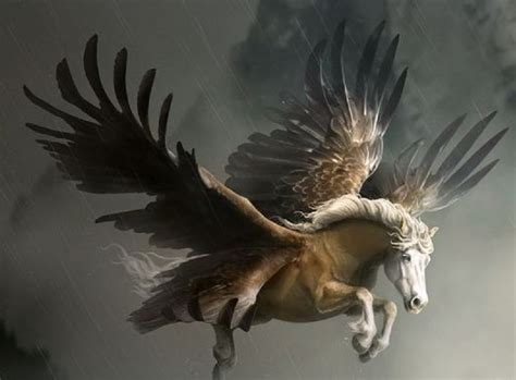 Pegasus 4 By Yewrezz Pegasus Art Fantasy Creature Art Fantasy Horses