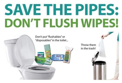 Dont Flush Wipes