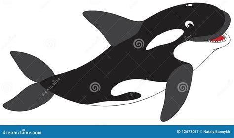 Killer Whale Set Stock Illustration | CartoonDealer.com #46721155