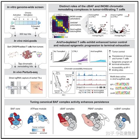 Perturb Seqcrispr Single Cell