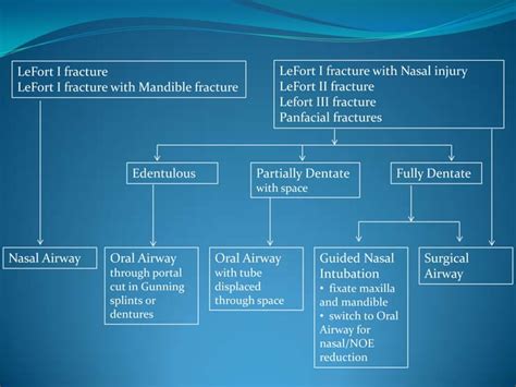 Le Fort Fracture 2 PPT