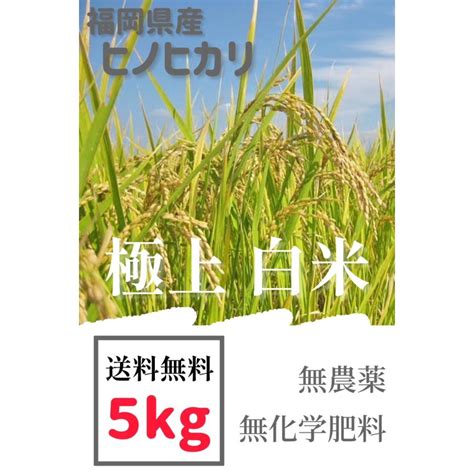 早期予約】【新米】無農薬白米5kg5キロ農家直送福岡県産 ヒノヒカリ 令和6年 送料無料 玄米 白米 野菜 Hm05九州野菜 江上ファーム