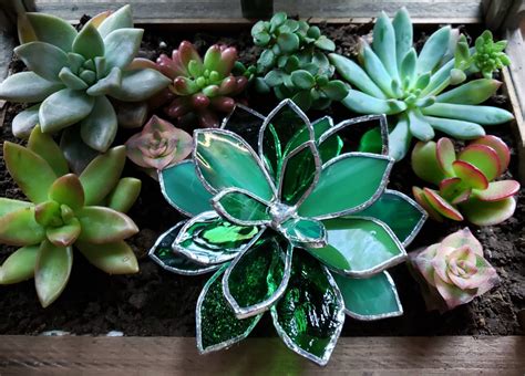 Stained Glass Succulent Plant Mixed Greens