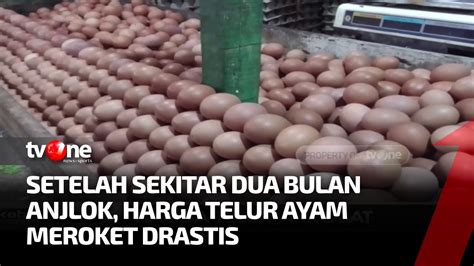 Waduh Harga Telur Meroket Ribu Dan Masih Bisa Naik Hingga Desember