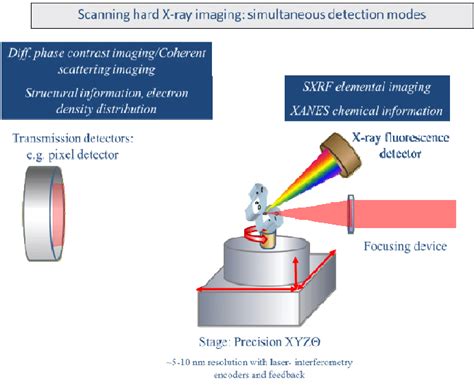 Schematic Illustration Of A Multiple Detector Fluorescence