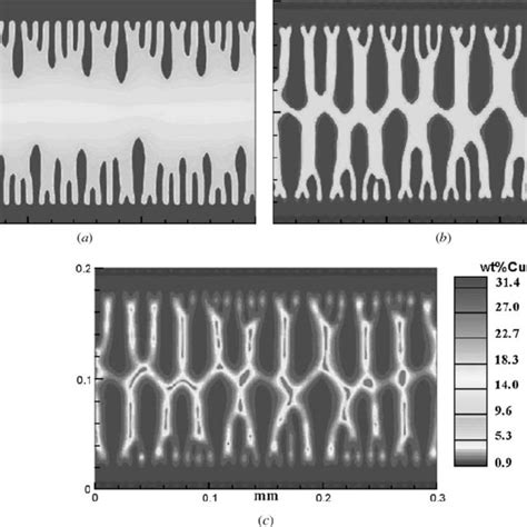 Simulated Equiaxed Dendrite Morphology And Solute Fields Of A Cu And