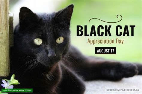 Banners Black Cat Appreciation Day August