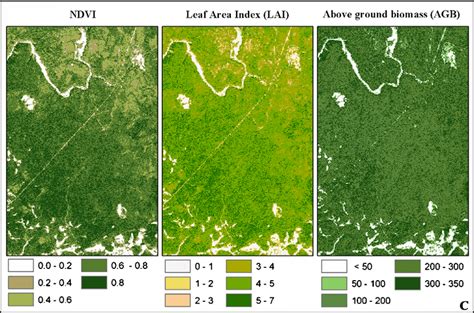 Normalized Differential Vegetation Index A Leaf Area Index B And