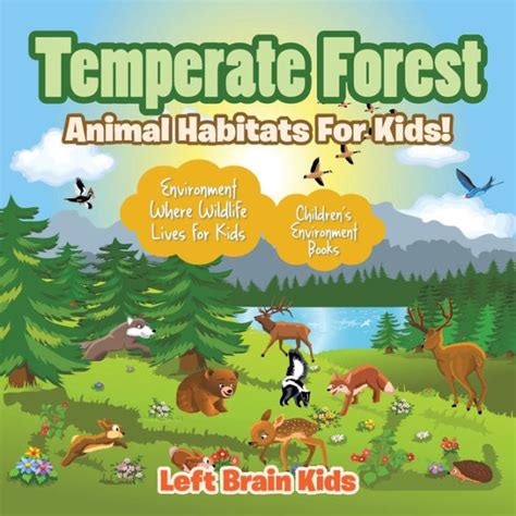 Temperate Forest - Animal Habitats for Kids! Environment Where Wildlife ...