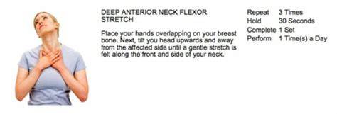 Best Chiropractor Approved Neck Stretches