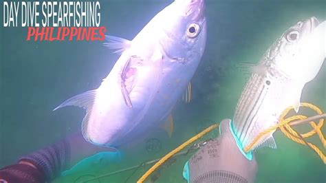 DAY DIVE SPEARFISHING PHILIPPINES SUBOK Kong Maka Panghuli YouTube