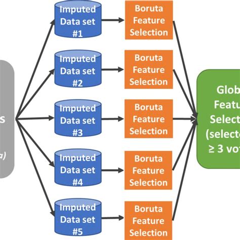 Feature Selection Results Boruta This Image Shows The Attributes And Download Scientific