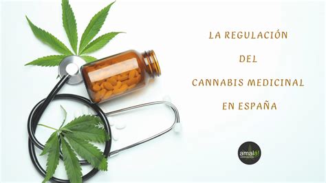 La Regulaci N Del Cannabis Medicinal En Espa A Asociaci N Amala De