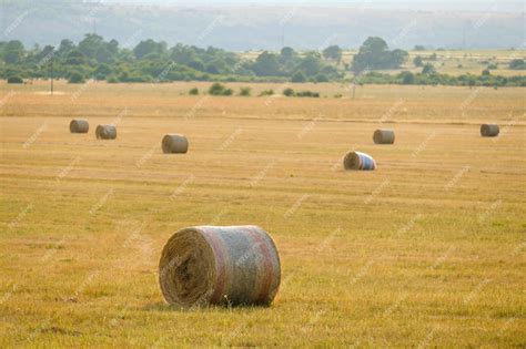 Premium Photo Large Bales Of Hay Lying On Huge Field Against Forest