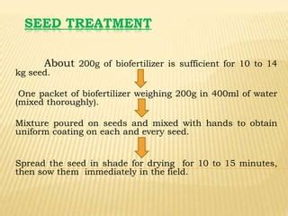 Role Of Biofertilizers PPT